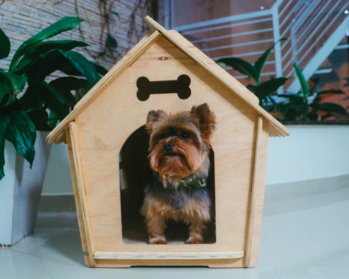 Casa para cachorro cães de pequeno porte madeira - BINGO
