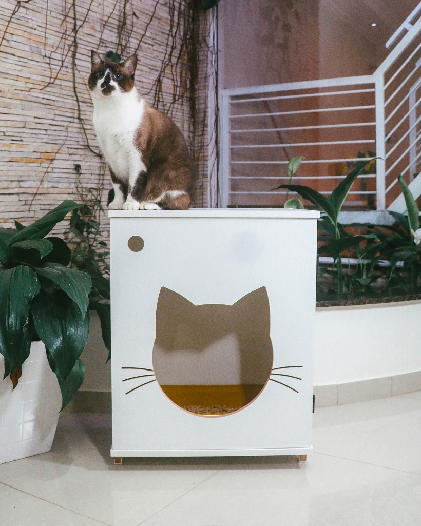 Sanitário banheiro gatos  gatil caixa de areia Félix