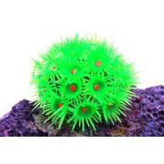 Soma Fish Coral Goniopora verde ( 40165 )
