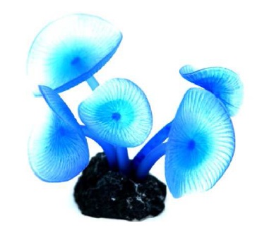 Soma Fish Coral Mushroom Long System azul ( 040172 )