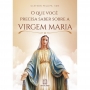 Livro O Que Você Precisa Saber Sobre a Virgem Maria - Cleyson Felllipe