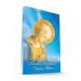 Livro Tratado Da Verdadeira Devoção A Santissima Virgem Maria - São Luís Maria Grignion De Montfort