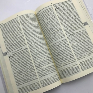 Nova Bíblia Sagrada Catolica Pastoral Média Capa Cristal Paulus