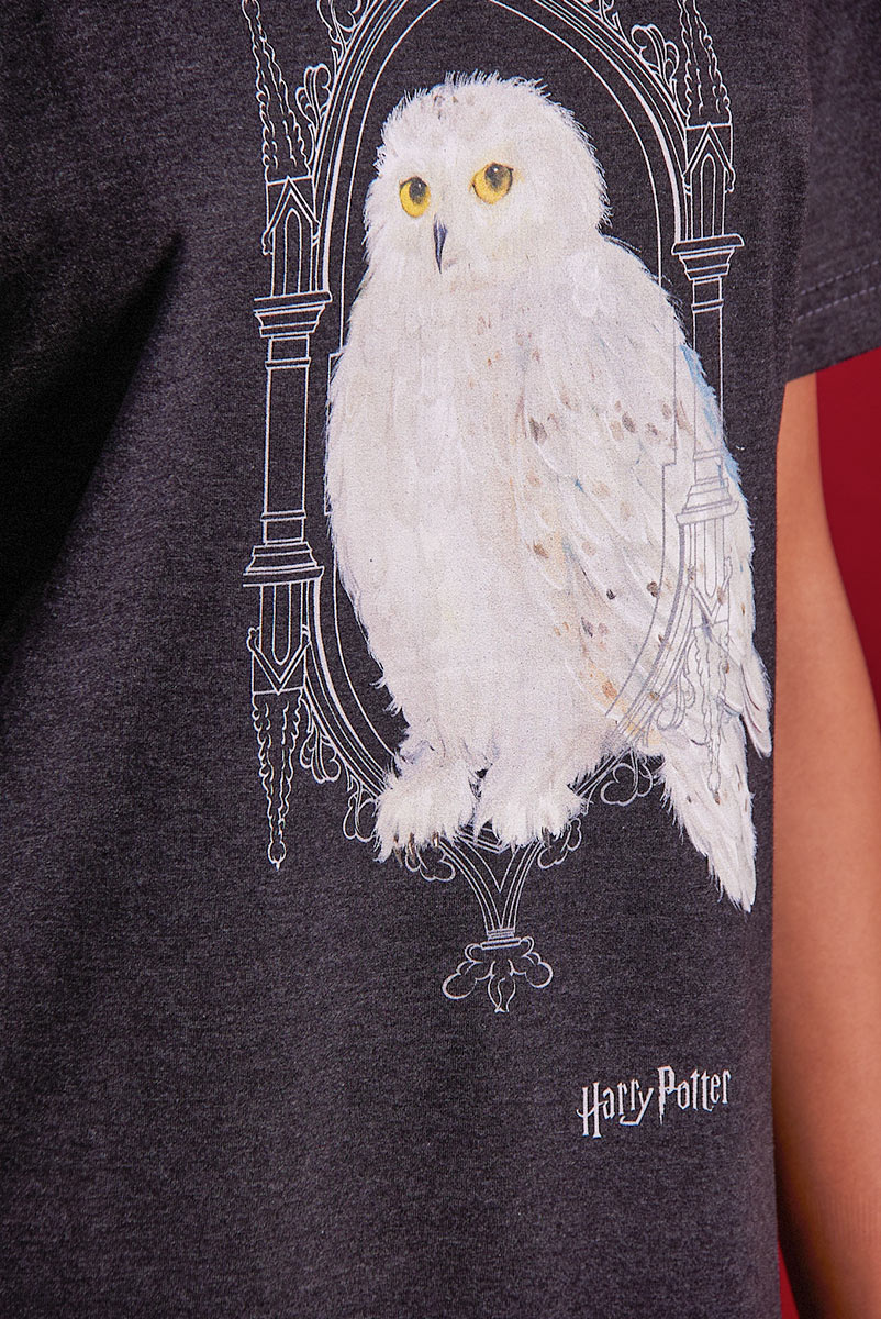 Camiseta Unissex Harry Potter Edwiges - Mescla Escuro