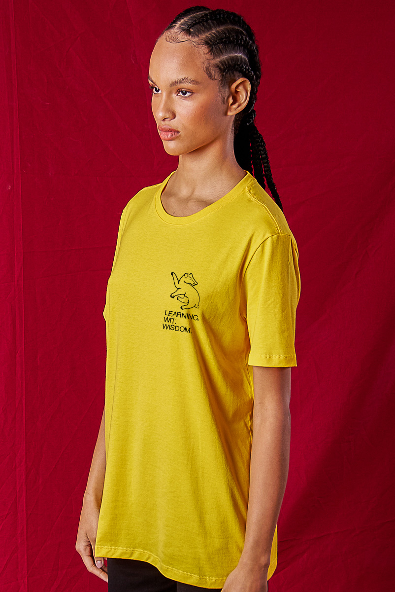 Camiseta Unissex Harry Potter Lufa - Lufa Texugo - Amarelo