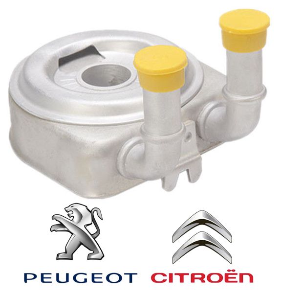 Resfriador Trocador de Calor Motor Peugeot 307 406 407 408  C4 C5 2.0 16v - 1103.N0