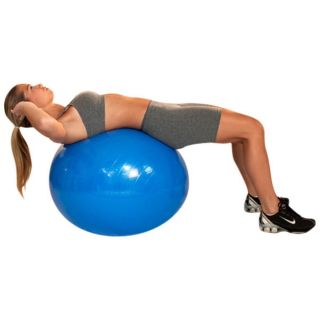 Bola de Pilates 65cm Gym Ball  com Bomba de Ar até 300Kg  - Acte Sports