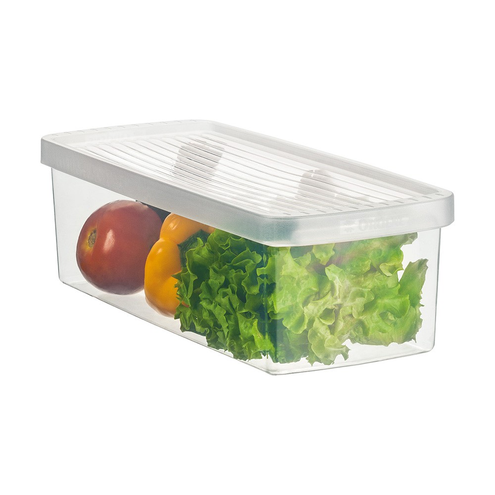 Caixa Plástico Organizadora Para Legumes e Salada Pequeno Ordene