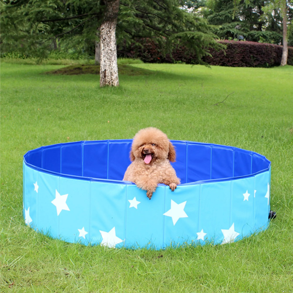 Piscina Para Cachorro Pets Dobrável Estrela Azul 120 cm x 30 cm VG+