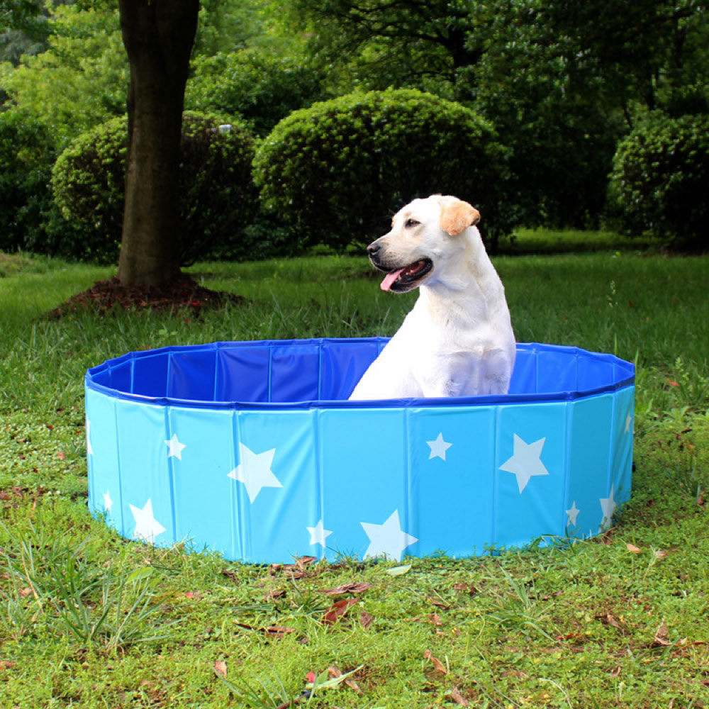 Piscina Para Cachorro Pets Dobrável Estrela Azul VG+