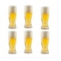 Jogo de Copos para Cerveja Catarinense 6 Peças em Cristal Ecologico 210ML Bohemia 58367