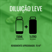 Detergente Limpa Eflorescência e Resíduos de Cimento 1 Litro - Bellinzoni &#9829; Home Care