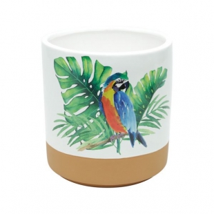 Vaso de Cerâmica Parrot Colorido 16,5x17,5 cm Urban 