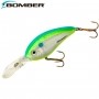 Isca Artificial Bomber Fat Free Shad BD6F