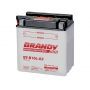Bateria com Solução Brandy BY-B10L-A2 Titan Intruder Virago