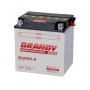 Bateria com Solução Brandy - BY-B30L-B - Harley Davidson