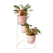 Conjunto Cascata com Vasos Autoirrigáveis Plante o Bem Rosa Quartzo