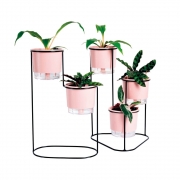 Conjunto Cascata Preto com Vasos Autoirrigáveis Rosa Quartzo