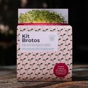 Kit Brotos com 1 refil de sementes sortido