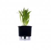 Kit Completo para plantio de Areca com vaso autoirrigável Médio Preto