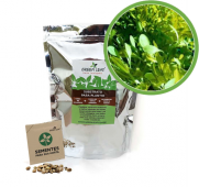 Kit para Plantio de Microverdes de Alface Green Leaf