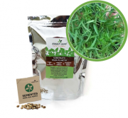 Kit para Plantio de Microverdes de Cenoura Radesh Green Leaf