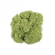 Musgo Ecológico artificial Verde 100g