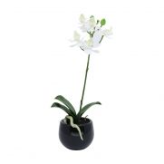 Orquídea Phalaenopsis artificial Branca com Vaso Preto 25cm - 27548001