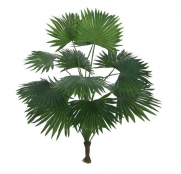 Palmeira leque artificial 42 cm - Verde - 00374001