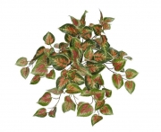 Planta Artificial Coleus com 91 Folhas Verde e Vermelho (26731001)