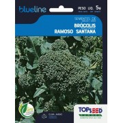 Sementes de Brócolis Ramoso Santana 5g - Topseed Blue Line