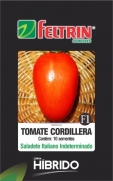 Sementes de Tomate Cordillera com 10 sementes - Feltrin Linha Híbrido