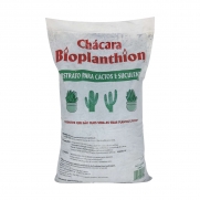 Substrato para Cactos e Suculentas 2kg Bioplanthion