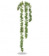 Suculenta Artificial Sedum de Pendurar X4 Verde 50cm - 20034001