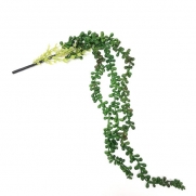 Suculenta Colar de Pérolas Artificial Verde 73cm