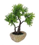 Árvore Bonsai artificial Verde com Vaso 20cm - 36661001