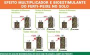 Fertilizante Orgânico Classe A (via solo) 5 litros - Ferti-Peixe - Foto 6