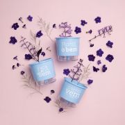 Kit 3 Vasos Autoirrigáveis Pequenos N02 12 cm x 11 cm Flor e Amor Azul Serenity - Foto 2