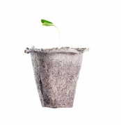 Kit com 50 Vasos Biodegradáveis para Plantio 9cm x 8cm - Foto 4