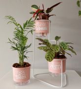 Conjunto Cascata com Vasos Autoirrigáveis Plante o Bem Rosa Quartzo - Foto 2