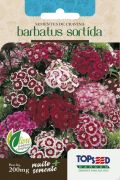Sementes de Cravina Barbatus Sortida 200mg - Topseed Linha Tradicional Flores