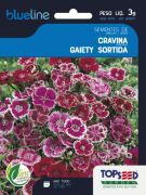 Sementes de Cravina Gaiety Sortida 3g - Topseed Blue Line