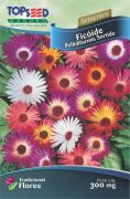 Sementes de Ficóide Bellidiformis Sortido - Topseed Linha Tradicional Flores