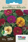 Sementes de Portulaca Grandiflora Dobrada Sortida 100mg - Topseed Linha Tradicional