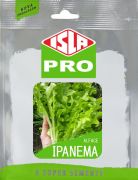 Sementes Importadas de Alface Ipanema Envelope com 100 sementes - Isla Pro