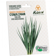 Sementes Orgânicas de Cebolinha Todo Ano Evergreen Nebuka Korin 4g