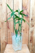 Vaso Elegance Torcido Cristal Incolor 19,5cm x 10cm - Foto 1