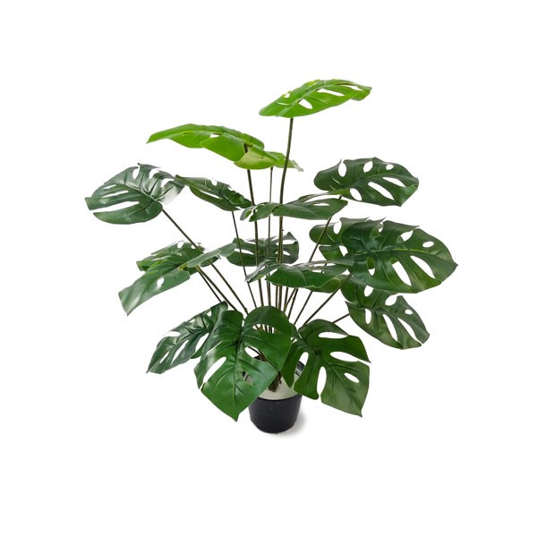 Arbusto Costela de Adão Artificial fixada em vaso 60cm