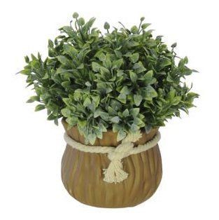 Folhagem Grass Powder artificial Verde com Vaso 15cm - 36692001 - Foto 0