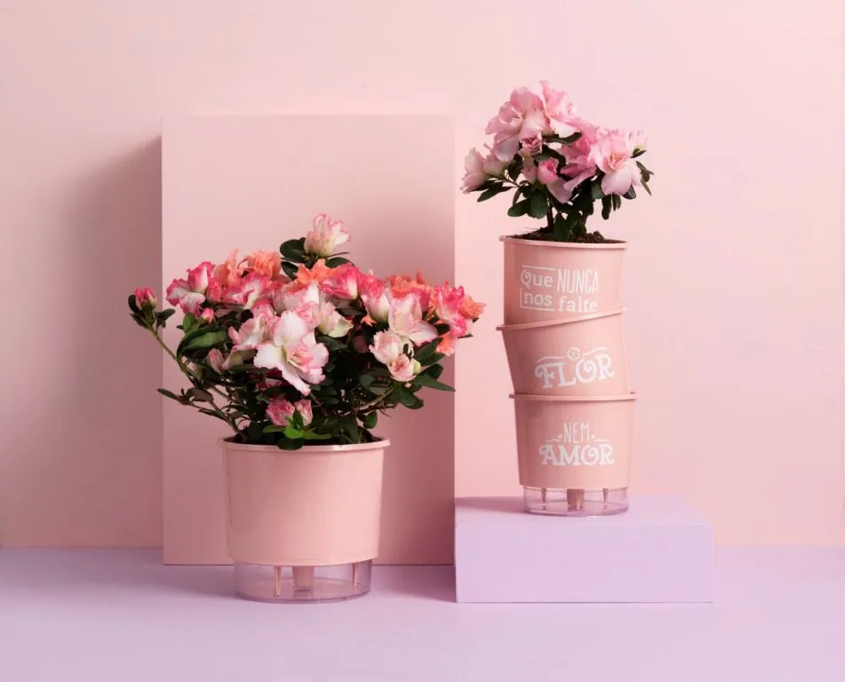 Kit 3 Vasos Autoirrigáveis Pequenos N02 12 cm x 11 cm Flor e Amor Rosa Quartzo - Foto 1